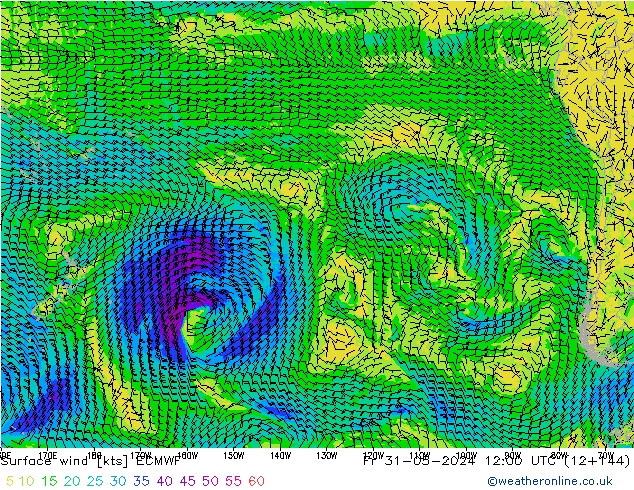 Surface wind ECMWF Fr 31.05.2024 12 UTC