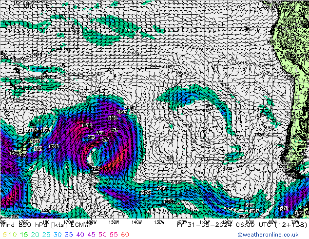  850 hPa ECMWF  31.05.2024 06 UTC