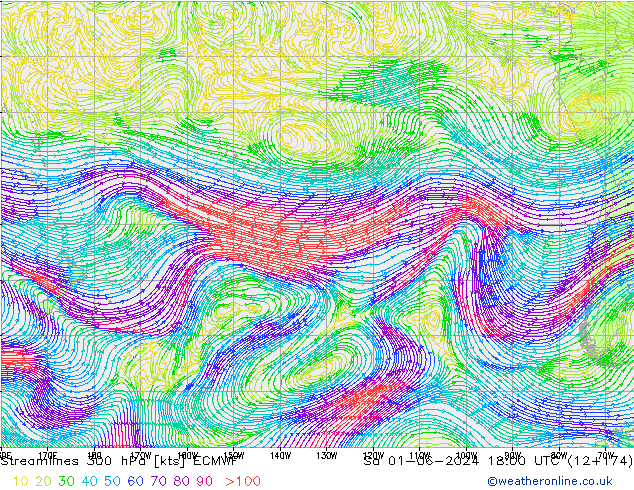 Ligne de courant 300 hPa ECMWF sam 01.06.2024 18 UTC