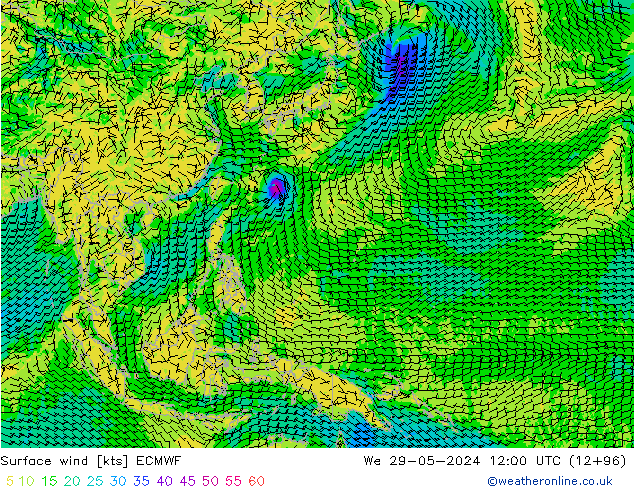 Bodenwind ECMWF Mi 29.05.2024 12 UTC