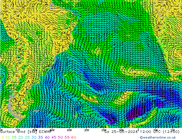 Surface wind ECMWF Sa 25.05.2024 12 UTC