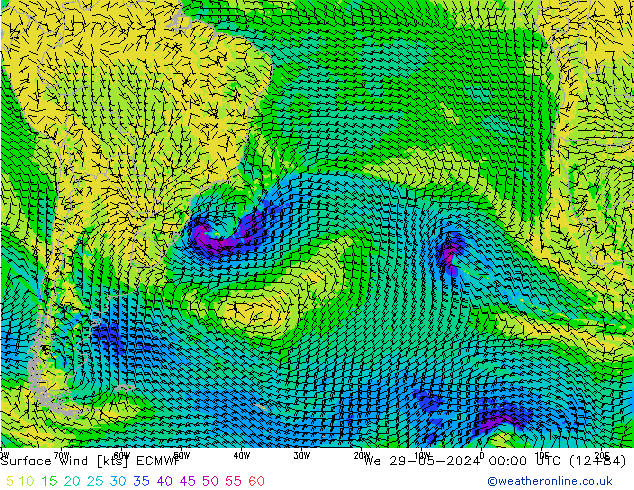 Surface wind ECMWF We 29.05.2024 00 UTC