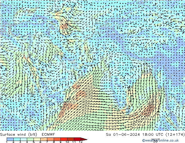 Surface wind (bft) ECMWF Sa 01.06.2024 18 UTC