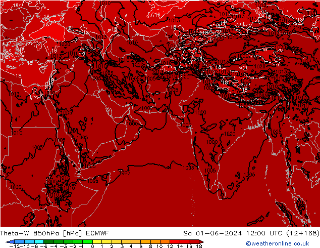 Theta-W 850hPa ECMWF sab 01.06.2024 12 UTC