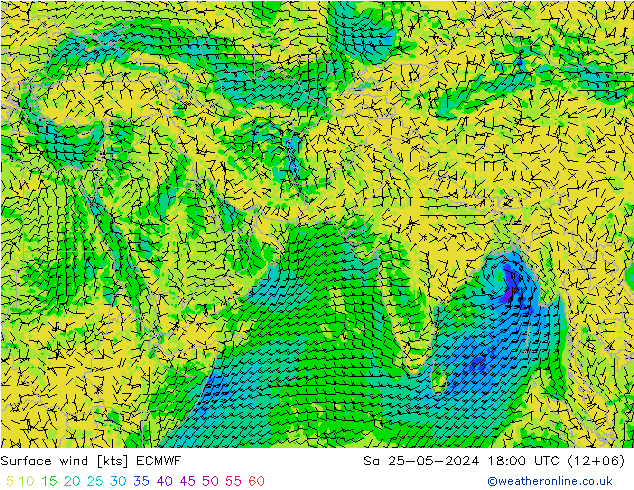 风 10 米 ECMWF 星期六 25.05.2024 18 UTC