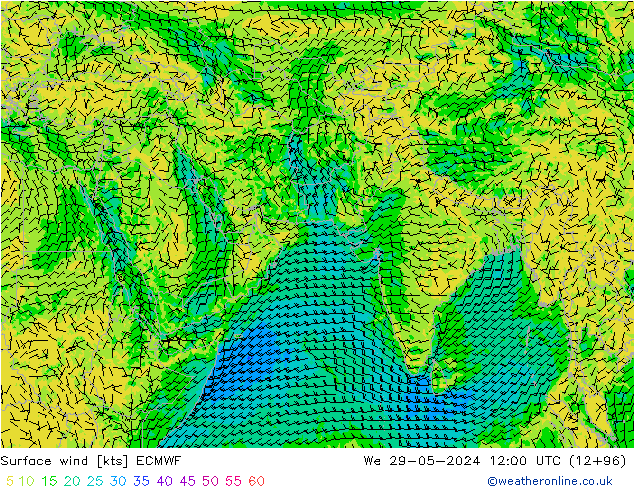 Surface wind ECMWF We 29.05.2024 12 UTC