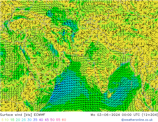 Rüzgar 10 m ECMWF Pzt 03.06.2024 00 UTC