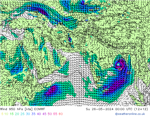 wiatr 950 hPa ECMWF nie. 26.05.2024 00 UTC