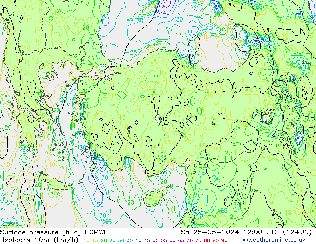 Isotachen (km/h) ECMWF Sa 25.05.2024 12 UTC