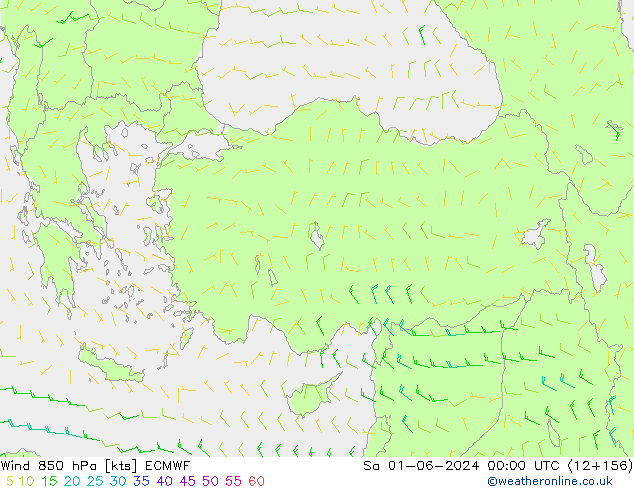 Rüzgar 850 hPa ECMWF Cts 01.06.2024 00 UTC