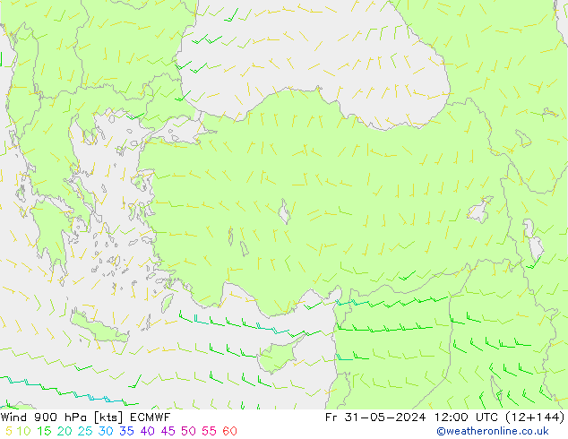 Wind 900 hPa ECMWF vr 31.05.2024 12 UTC