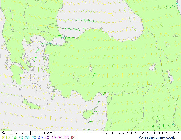 Rüzgar 950 hPa ECMWF Paz 02.06.2024 12 UTC