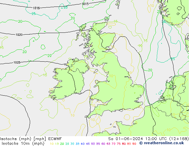 Isotachs (mph) ECMWF sab 01.06.2024 12 UTC