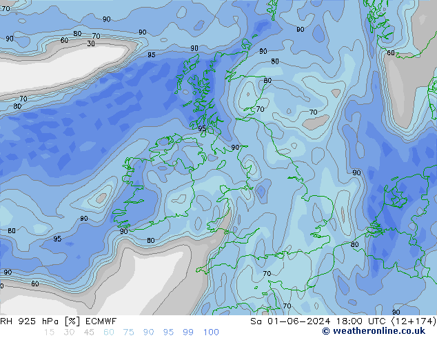 RH 925 гПа ECMWF сб 01.06.2024 18 UTC