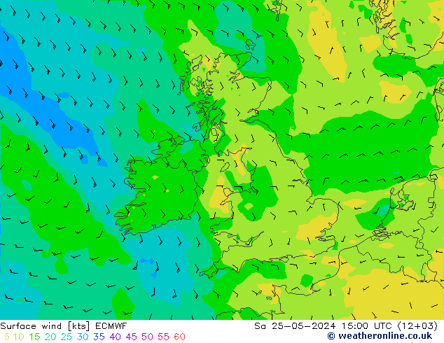 Surface wind ECMWF Sa 25.05.2024 15 UTC