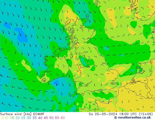  10 m ECMWF  25.05.2024 18 UTC