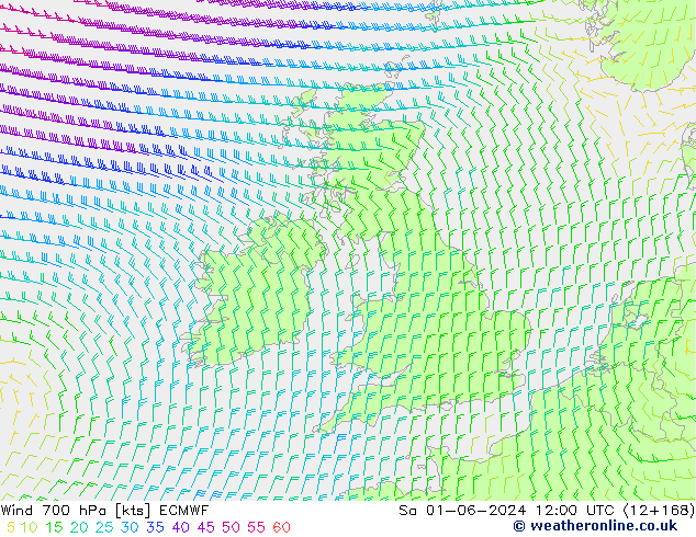 ветер 700 гПа ECMWF сб 01.06.2024 12 UTC