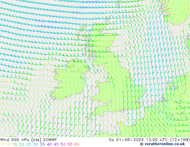 Vento 900 hPa ECMWF sab 01.06.2024 12 UTC