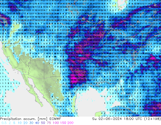 Precipitation accum. ECMWF Ne 02.06.2024 18 UTC