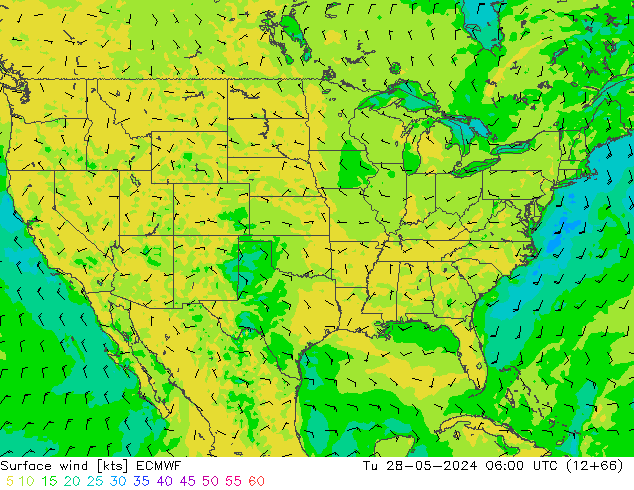 Surface wind ECMWF Tu 28.05.2024 06 UTC