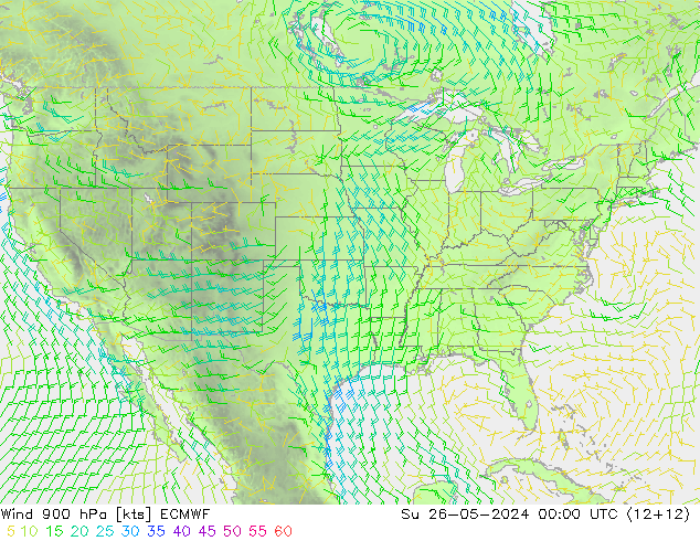 Vento 900 hPa ECMWF Dom 26.05.2024 00 UTC