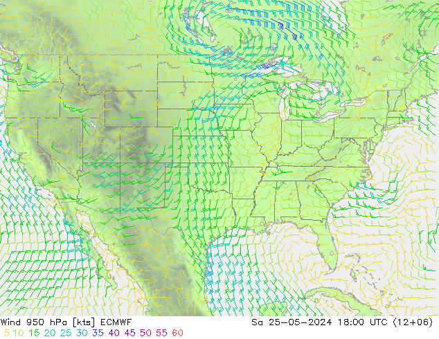 Vent 950 hPa ECMWF sam 25.05.2024 18 UTC