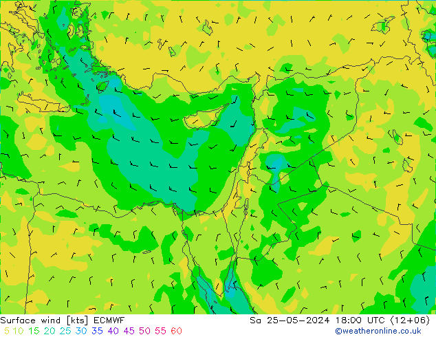 Viento 10 m ECMWF sáb 25.05.2024 18 UTC