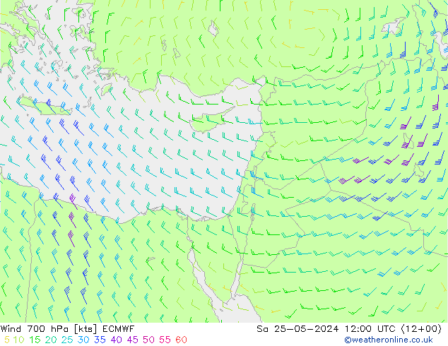 ветер 700 гПа ECMWF сб 25.05.2024 12 UTC