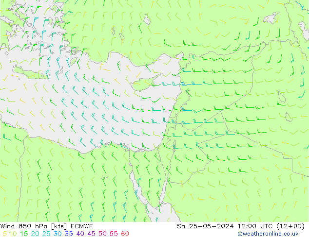 Wind 850 hPa ECMWF Sa 25.05.2024 12 UTC