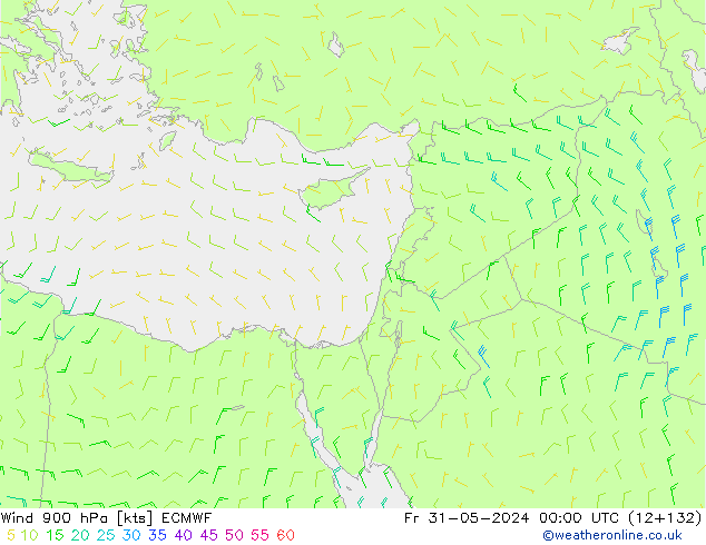 wiatr 900 hPa ECMWF pt. 31.05.2024 00 UTC