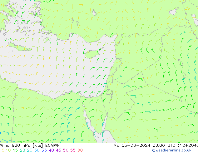 Wind 900 hPa ECMWF Po 03.06.2024 00 UTC