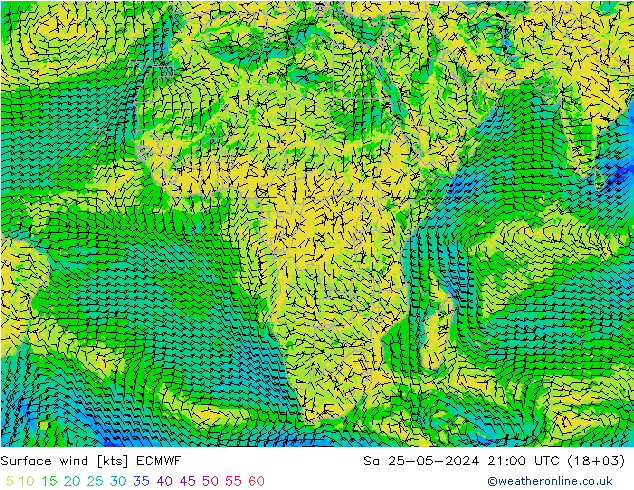  Cts 25.05.2024 21 UTC