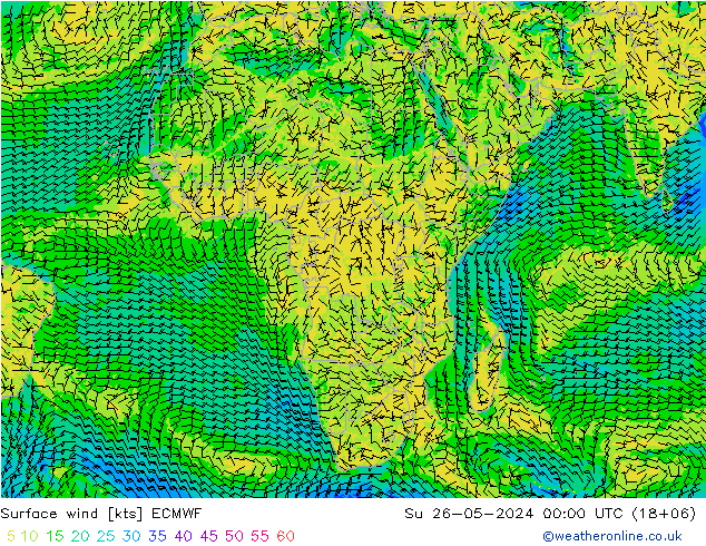 Bodenwind ECMWF So 26.05.2024 00 UTC