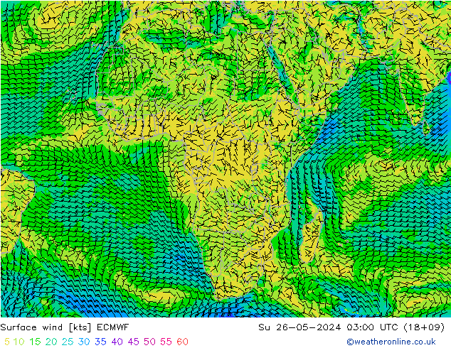  Paz 26.05.2024 03 UTC