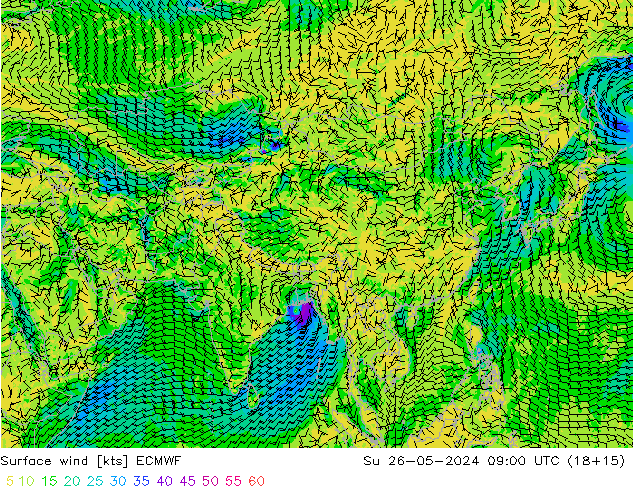 Surface wind ECMWF Ne 26.05.2024 09 UTC