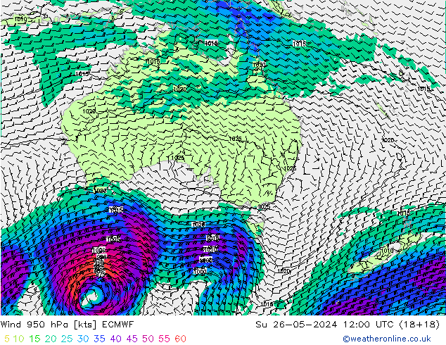 Vento 950 hPa ECMWF Dom 26.05.2024 12 UTC