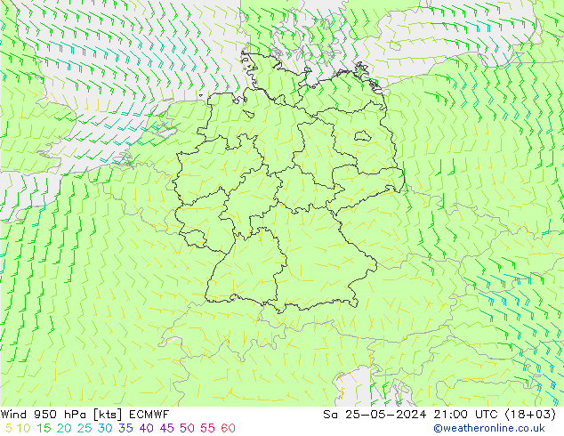 Wind 950 hPa ECMWF Sa 25.05.2024 21 UTC