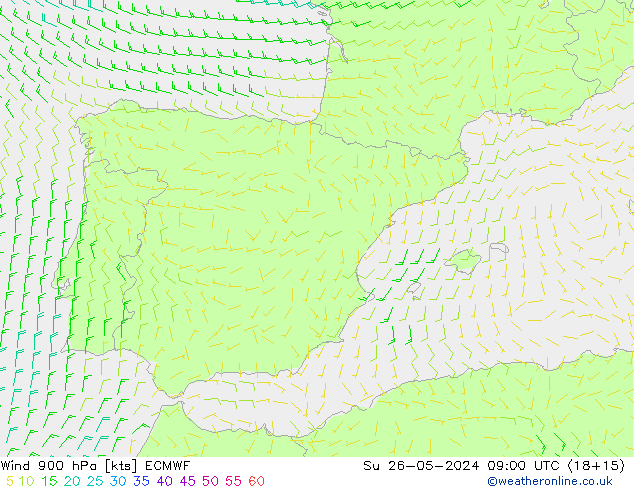 Wind 900 hPa ECMWF Su 26.05.2024 09 UTC