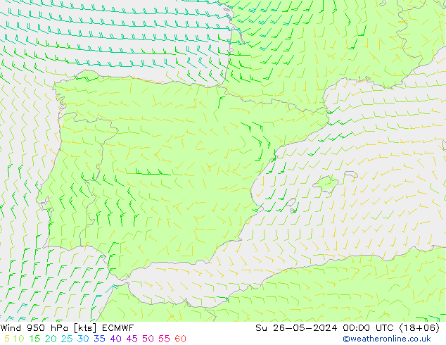 Wind 950 hPa ECMWF zo 26.05.2024 00 UTC