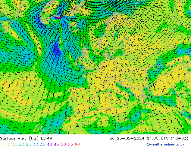 Vento 10 m ECMWF sab 25.05.2024 21 UTC