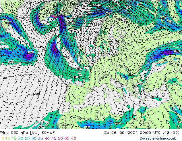 Wind 950 hPa ECMWF Ne 26.05.2024 00 UTC