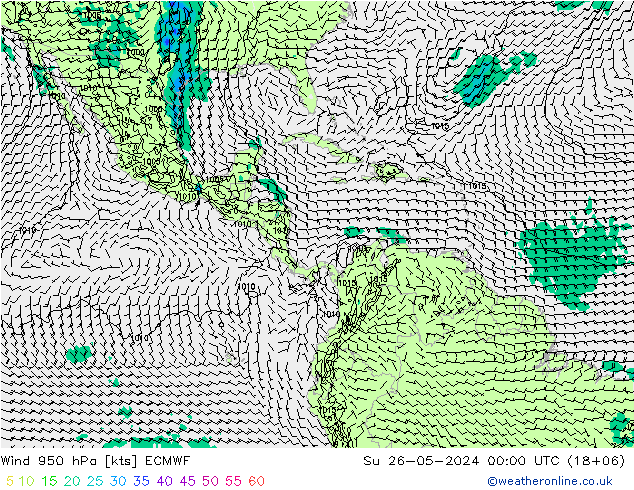 Wind 950 hPa ECMWF zo 26.05.2024 00 UTC