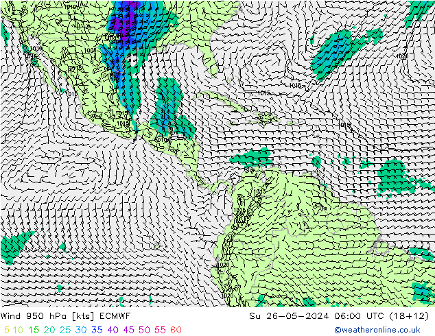 Wind 950 hPa ECMWF Ne 26.05.2024 06 UTC