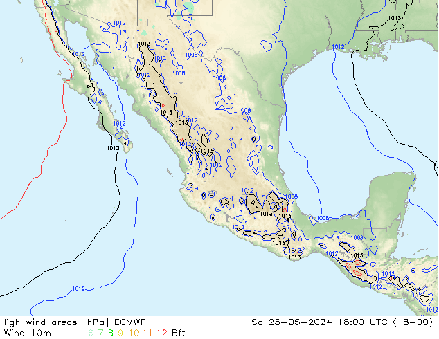 High wind areas ECMWF sáb 25.05.2024 18 UTC