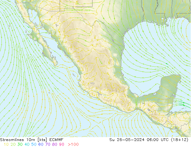  10m ECMWF  26.05.2024 06 UTC