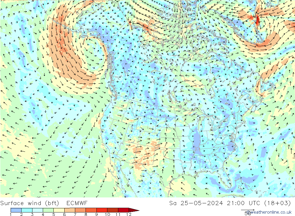 Bodenwind (bft) ECMWF Sa 25.05.2024 21 UTC