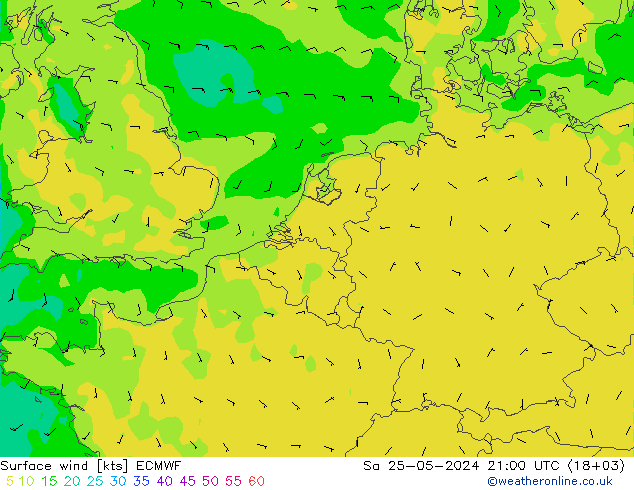 ветер 10 m ECMWF сб 25.05.2024 21 UTC