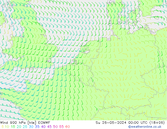 Wind 900 hPa ECMWF So 26.05.2024 00 UTC