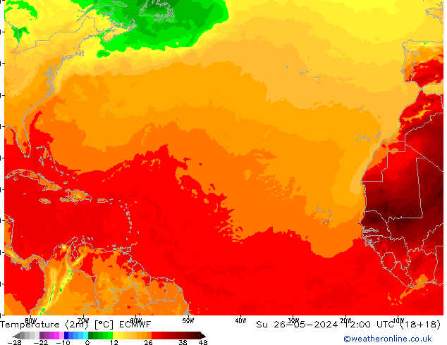     ECMWF  26.05.2024 12 UTC