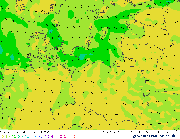 Vento 10 m ECMWF Dom 26.05.2024 18 UTC